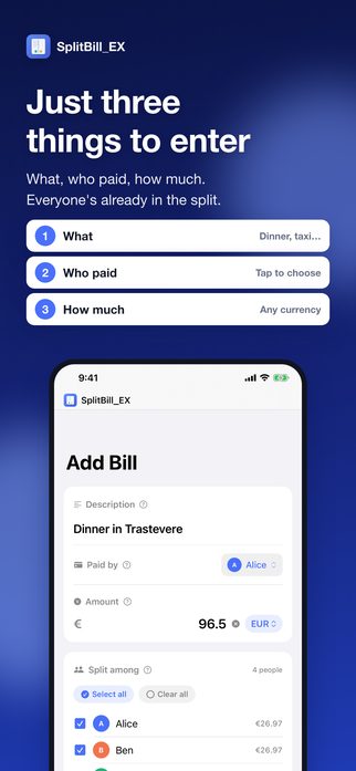 Just three things to enter — what, who paid, how much